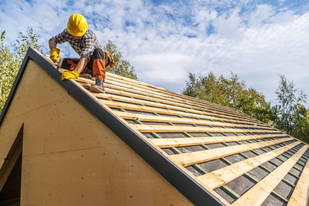 Roof Waterproofing Services in Las Lomas, TX
