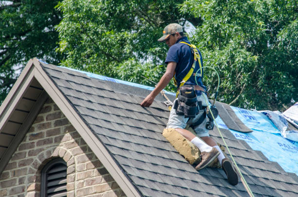 Best Residential Roofing Contractor  in Las Lomas, TX