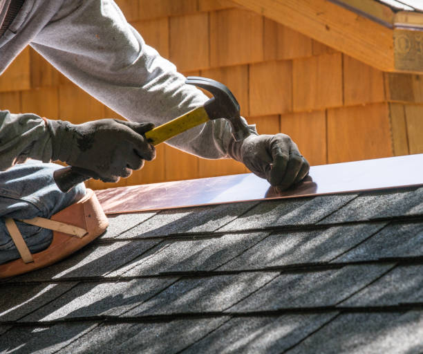 Best Shingle Roofing Installation  in Las Lomas, TX